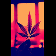 nusidauzes420