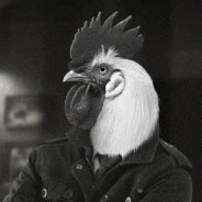 CounterRaven
